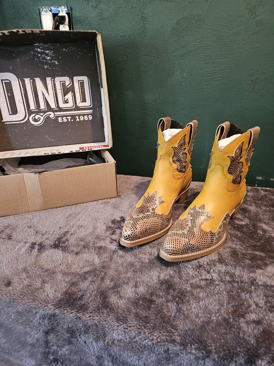 dingo Other - Dingo Yellow Snake Print Western Boots